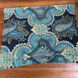 2 Pottery Barn King Shams